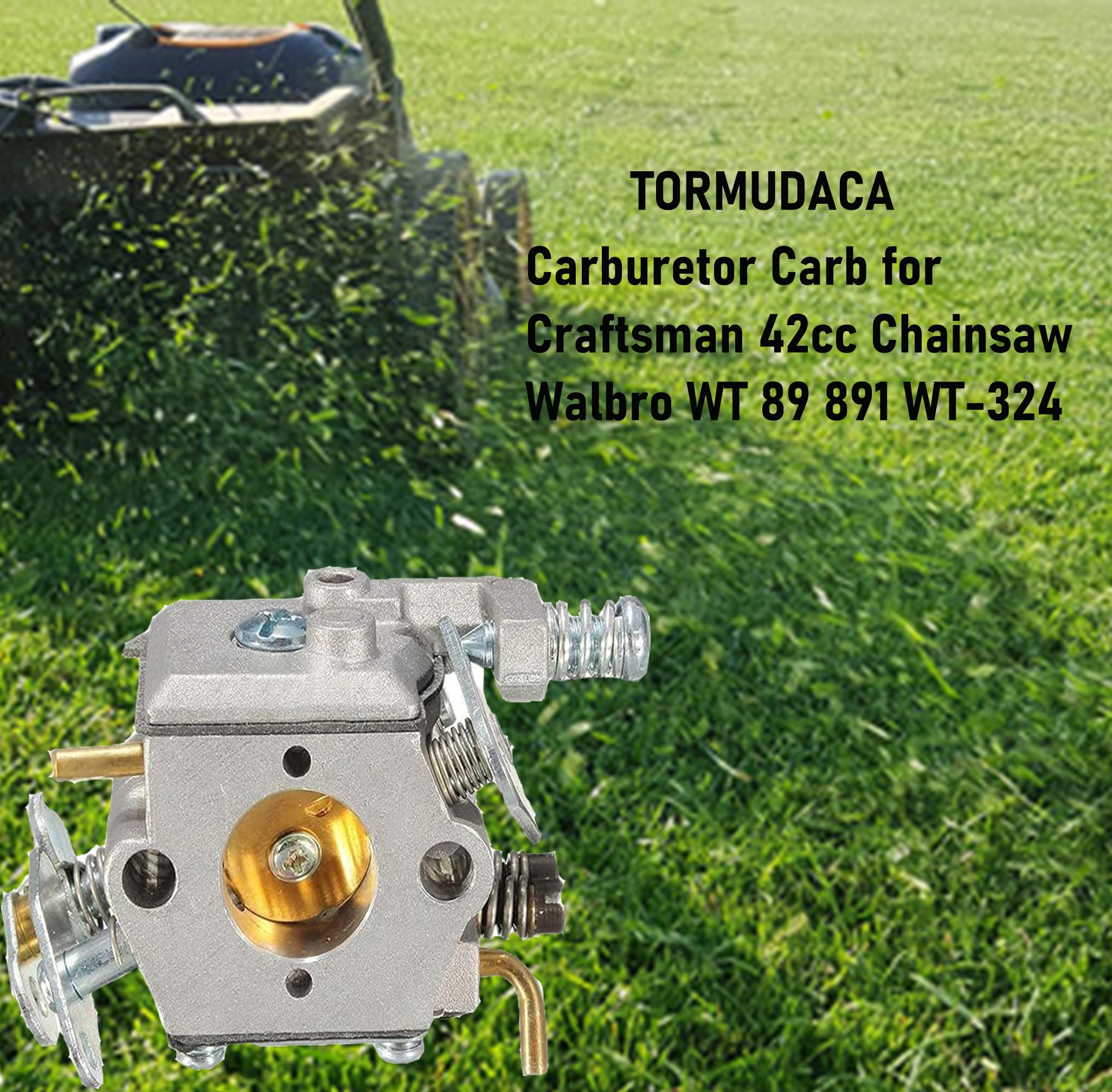 Amazon.com: Tormudaca Carburetor Carb Compatible with